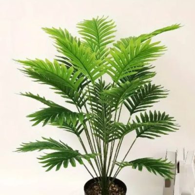 Areca pianta verde altezza 65 cm