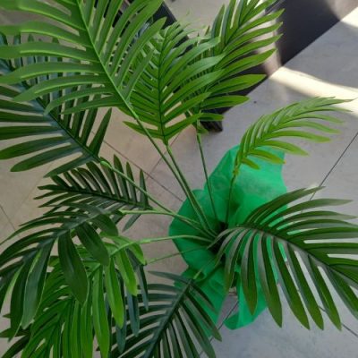 areca pianta verde artificiale